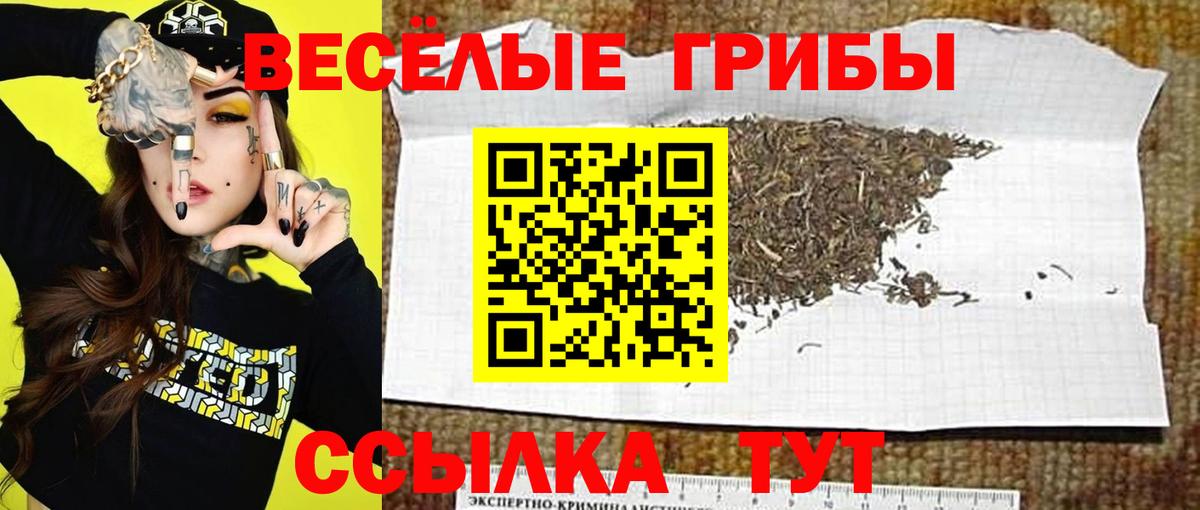 Минусинск  Галлюциногенные грибы мухоморы  Псилоцибиновые грибы MAGIC MUSHROOMS  Вход с VPN 